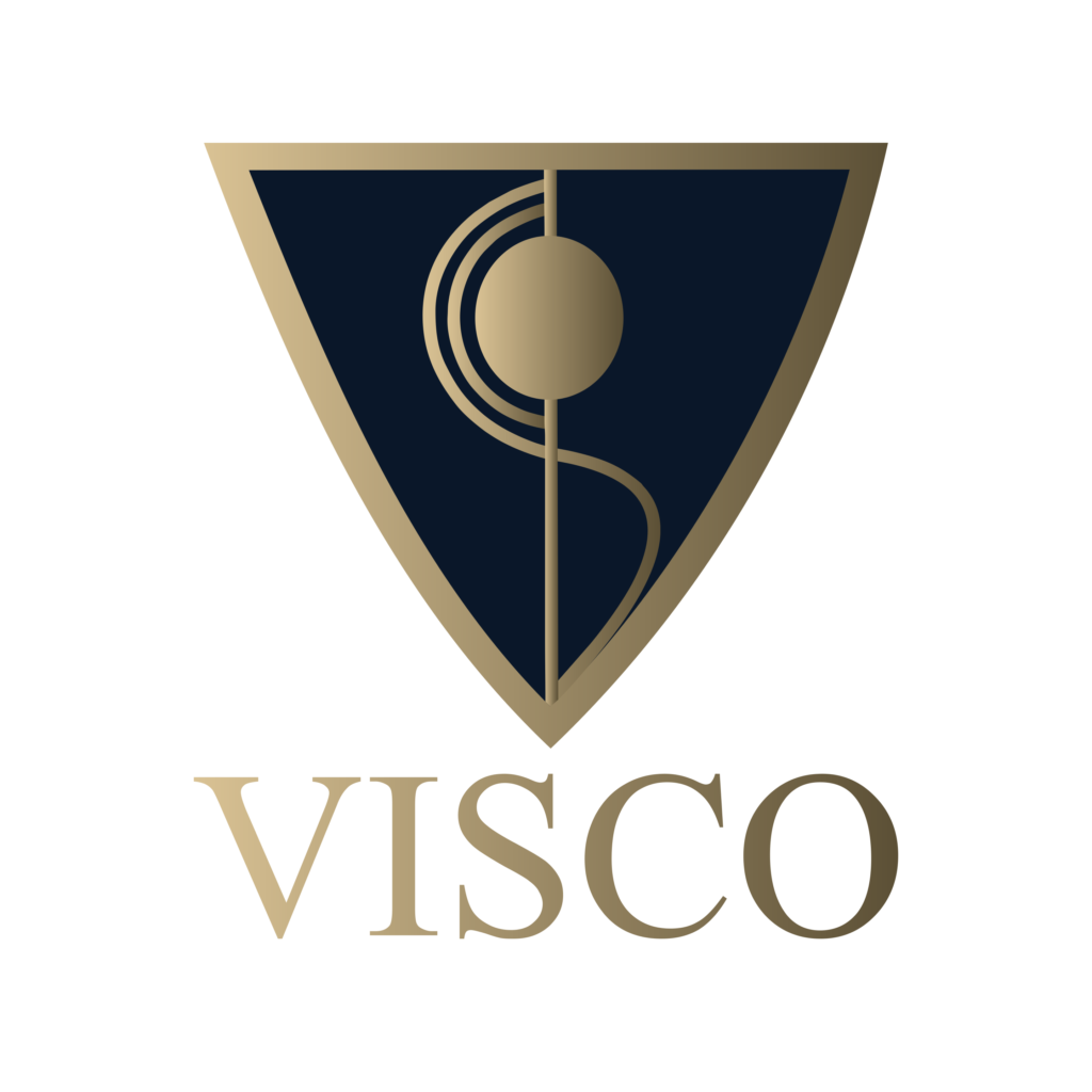 visco realty