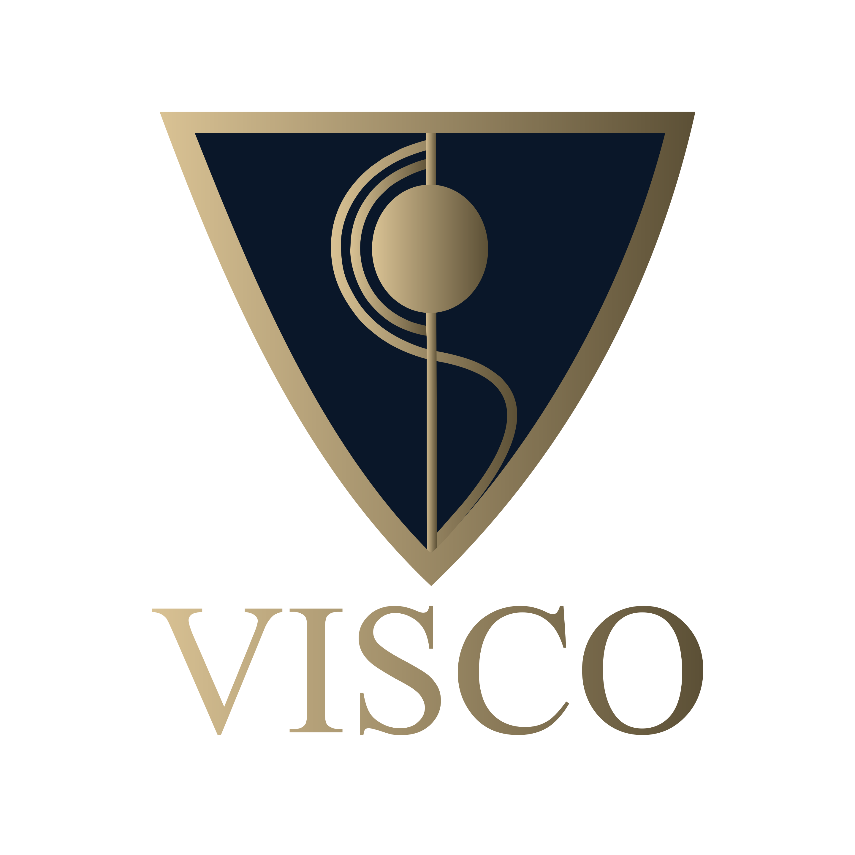 visco realty